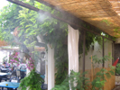 Brumisation terrasse