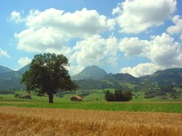 Notre nature � pr�server
